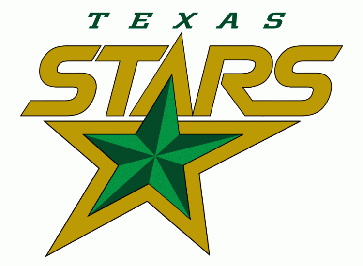 Texas Stars 2009 10-Pres Primary Logo iron on transfers for T-shirts